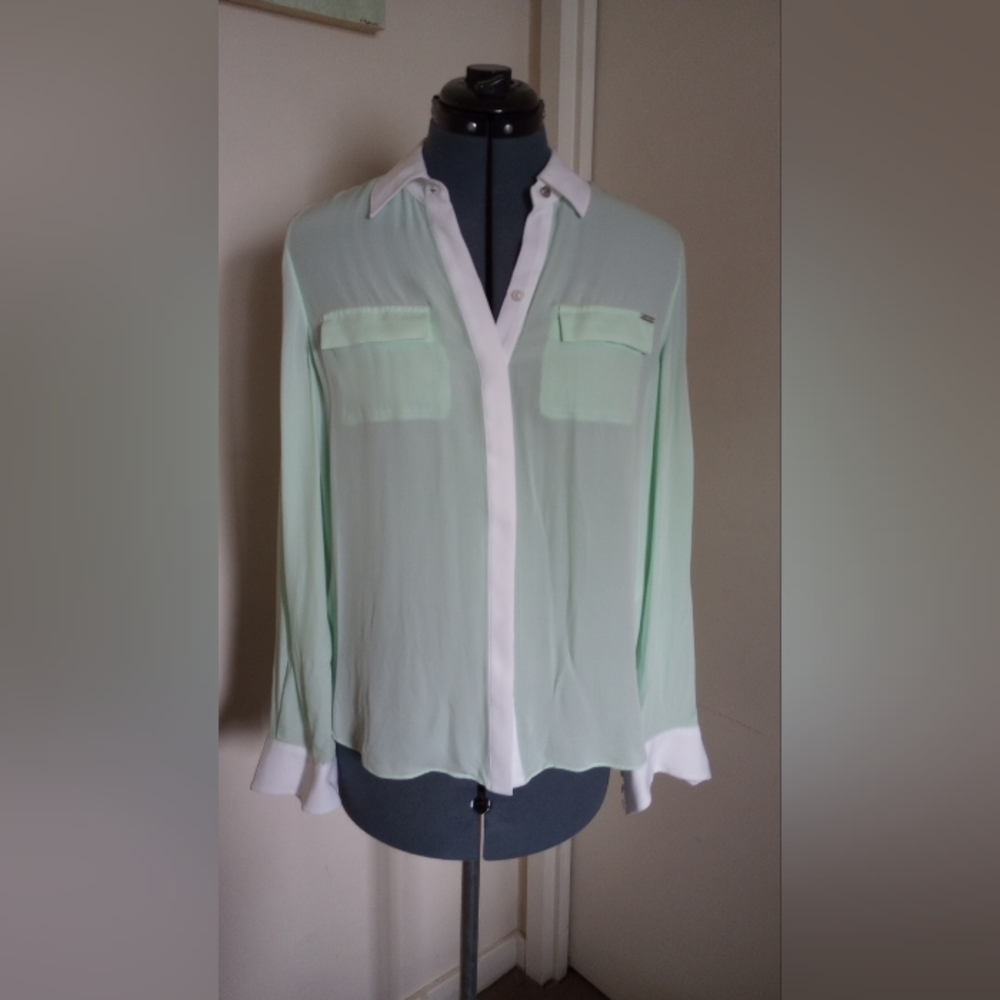 Mint Silk Button Up Blouse WHBM Size 4 Like New!